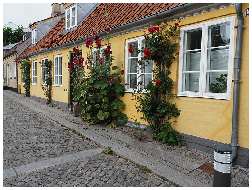 Roskilde Houses