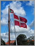 Danish Flag