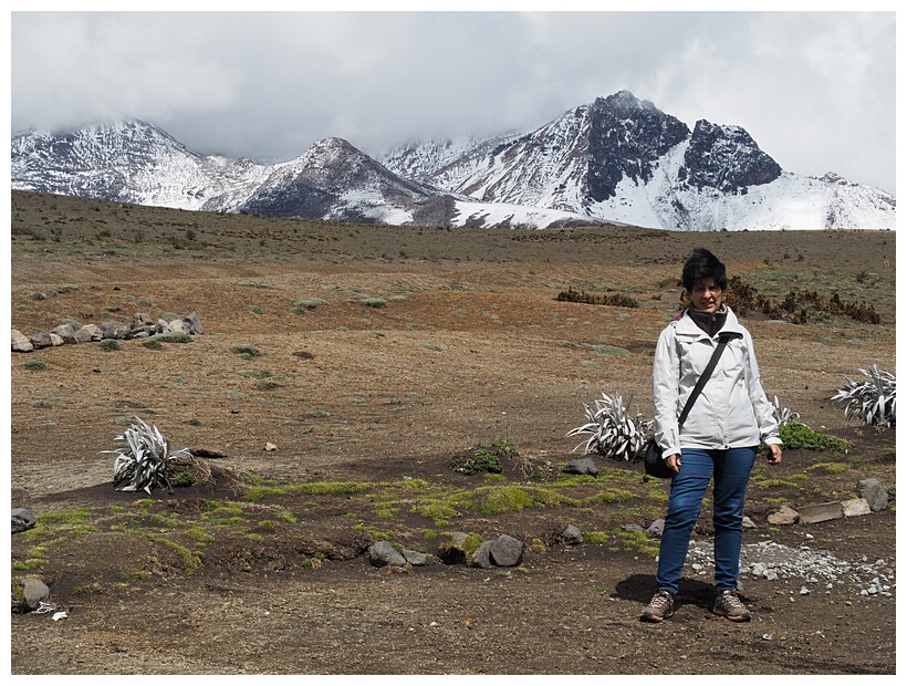 Reserva Faunstica del Chimborazo