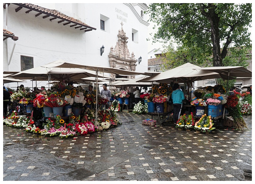 Mercado de las Flores