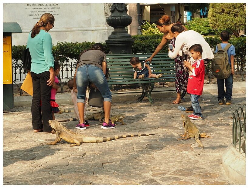 Parque Seminario