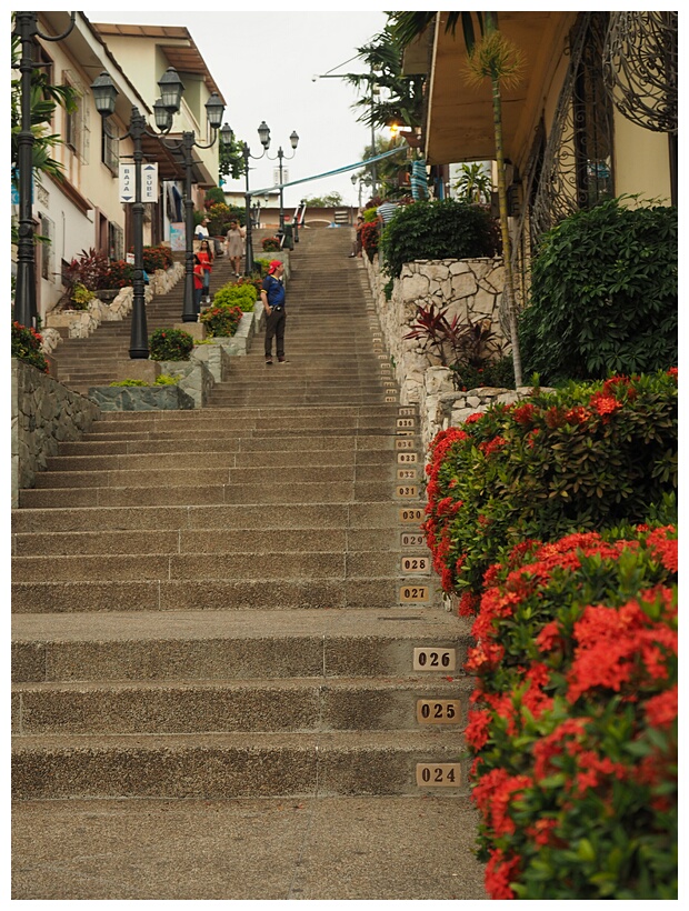 Cerro de Santa Ana