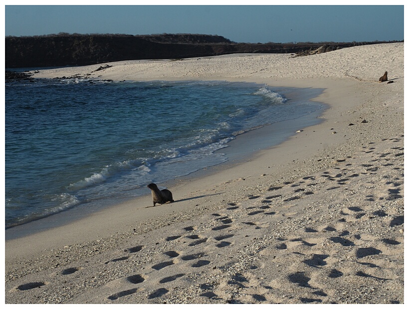 Playa Coralina