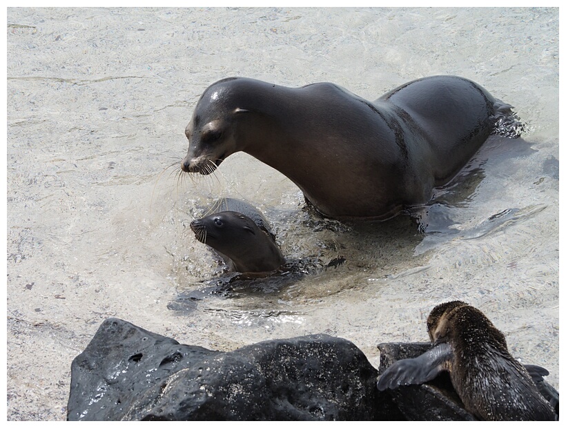 Madre e Hijo