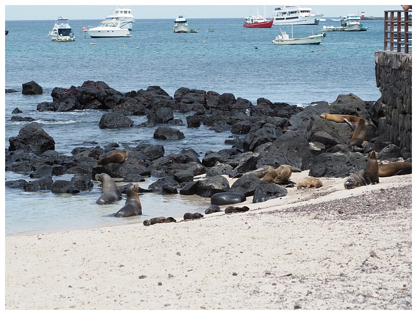 Playa de Oro