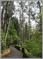 Cascada de Peguche