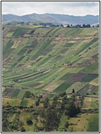 Paisaje Ecuatoriano