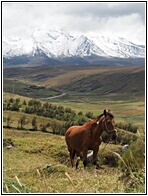 Volcn Chimborazo