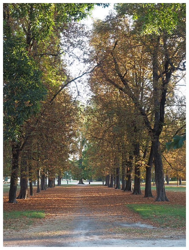 Parco Ducale