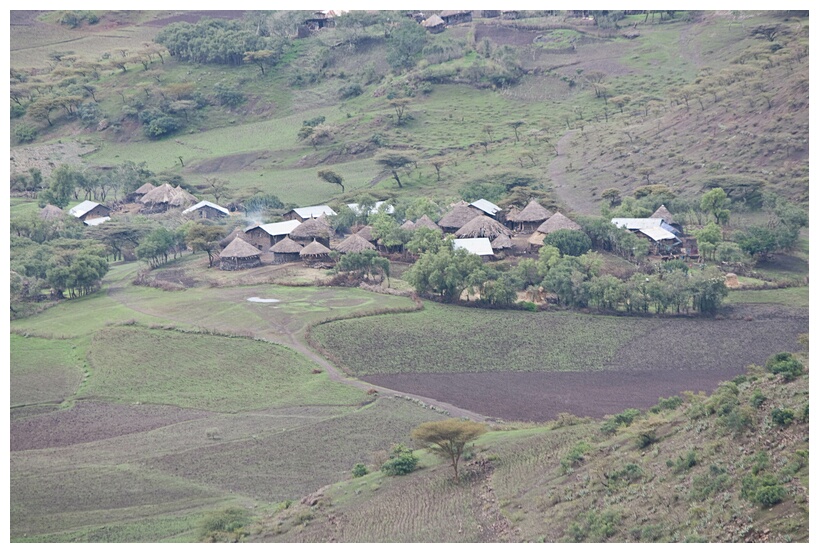 Ethiopian Hamlet