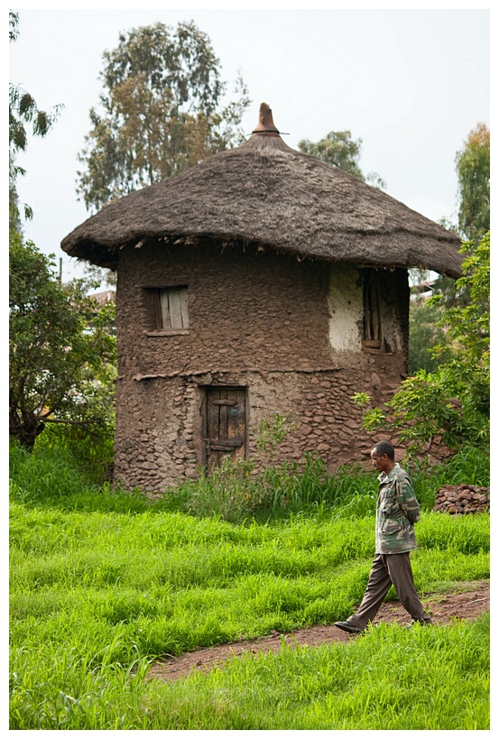 Traditional House