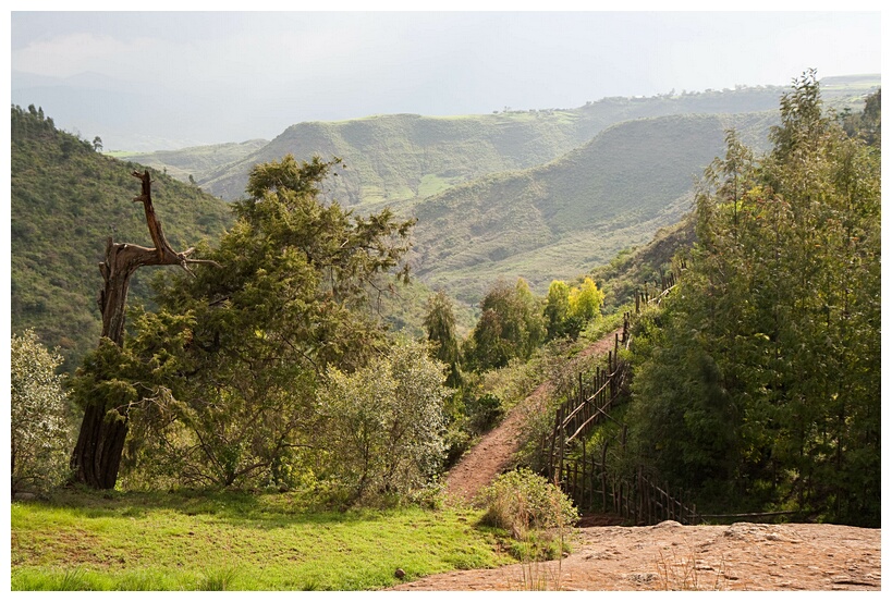 Green Ethiopia