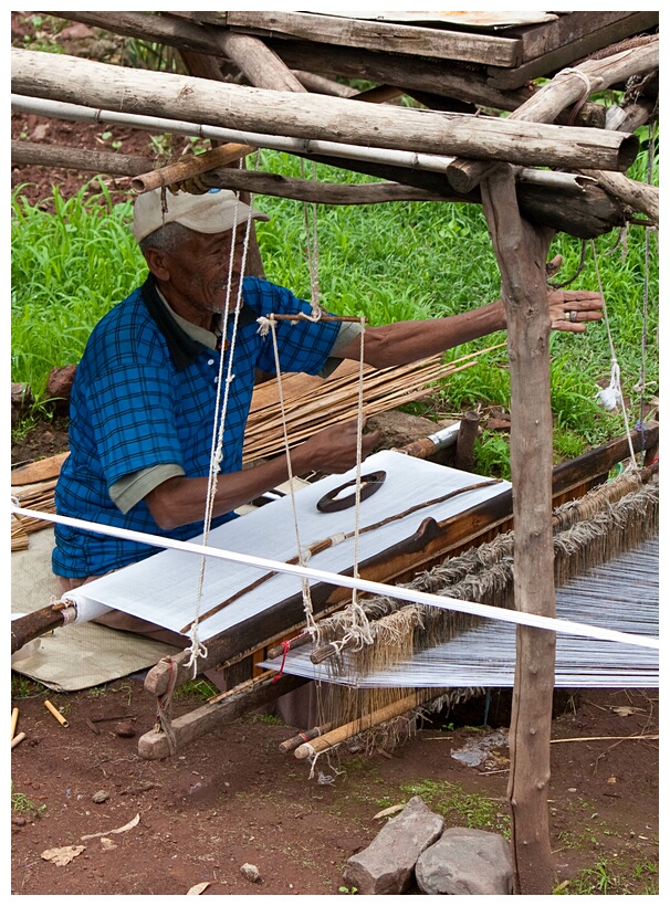 Lalibela Weaver