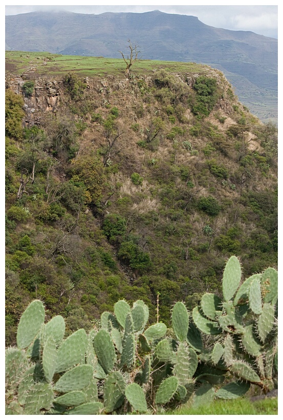 Lalibela Landscape