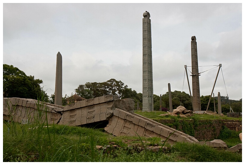 Stelae Field