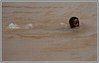 Swimming in the Lake