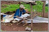 Traditional Weaver