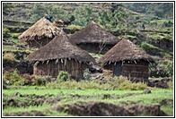 Tukul Huts