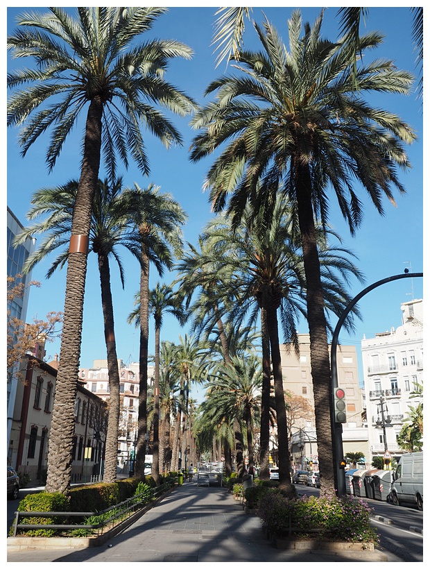 Avenida del Reino de Valencia