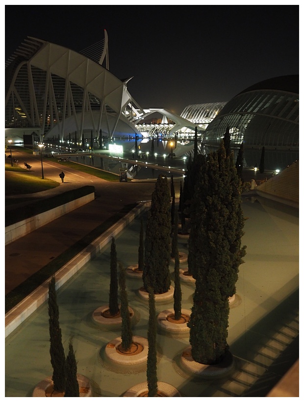 La Ciudad de las Artes y las Ciencias