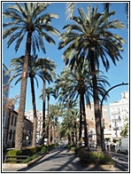 Avenida del Reino de Valencia