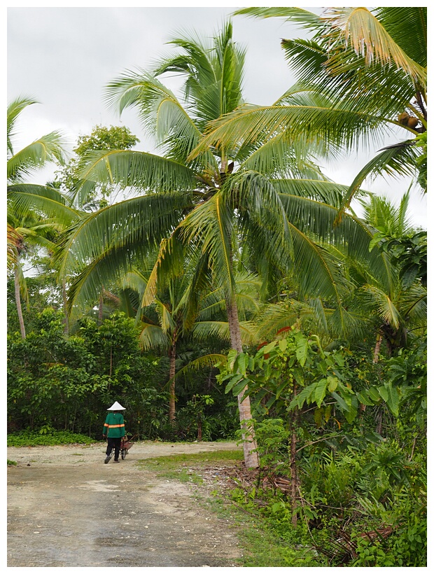 Loboc River Resort