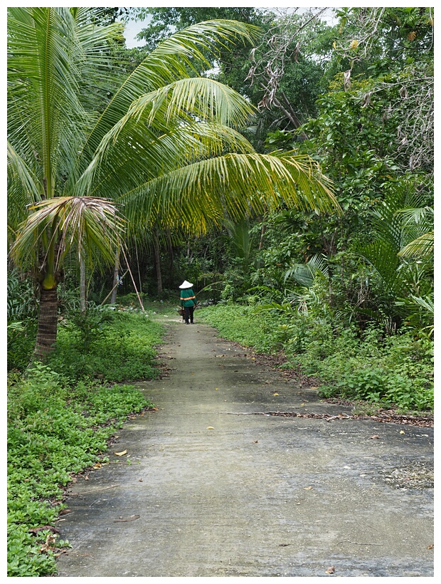 Loboc River Resort