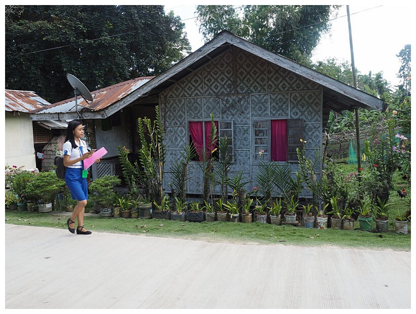 Nipa Hut