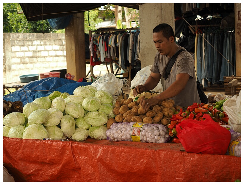 Local Market