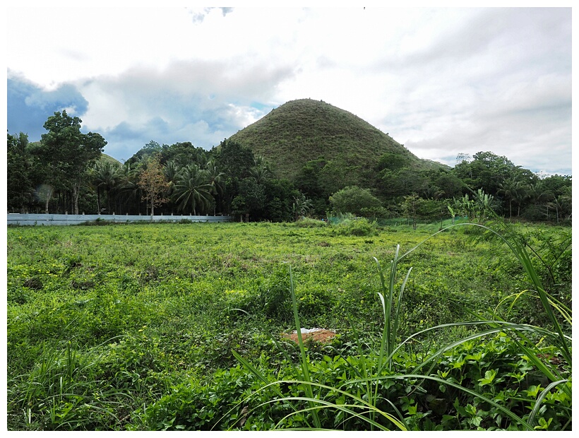 Chocolate Hills