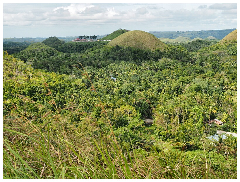 Chocolate Hills