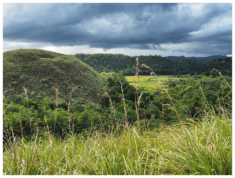 Chocolate Hills