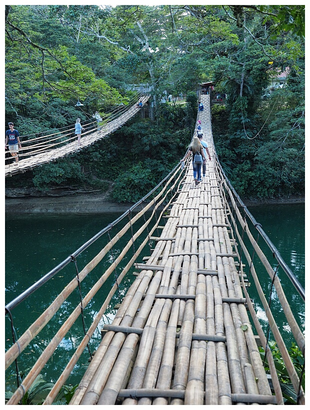 Bamboo Hanging Bridge