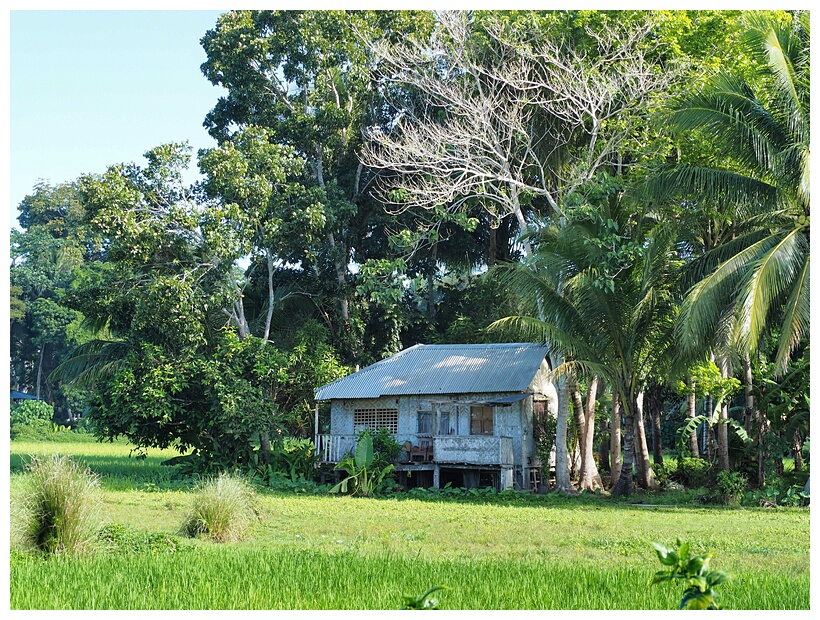 Bohol Landscape