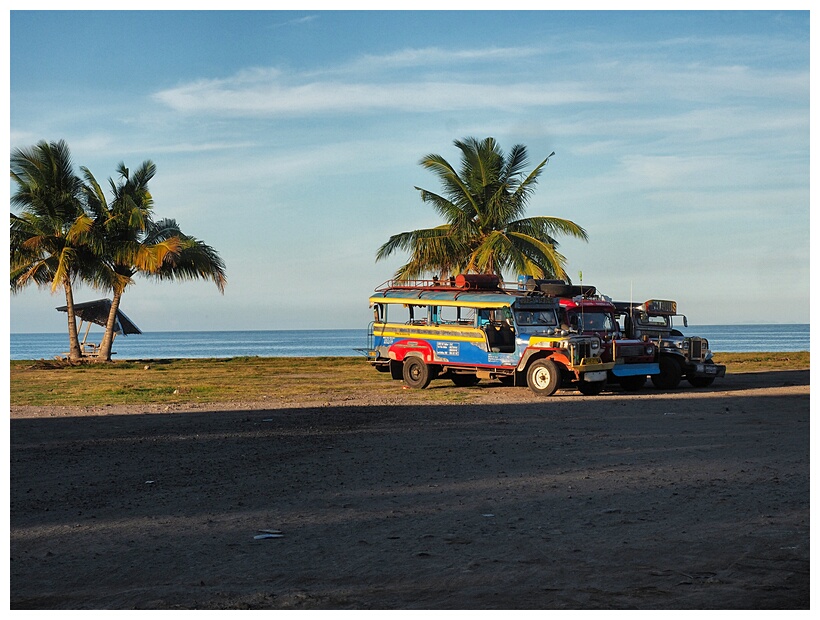 Jeepneys