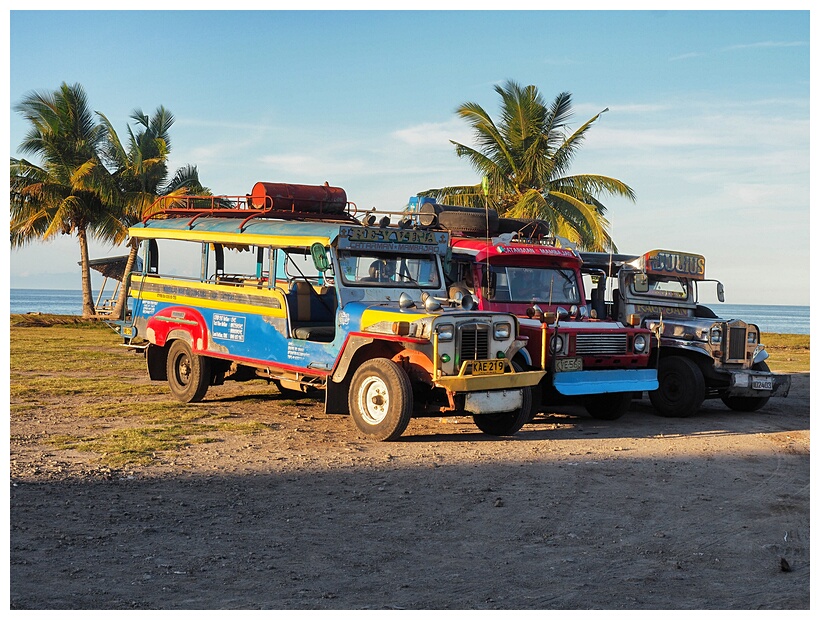 Jeepneys