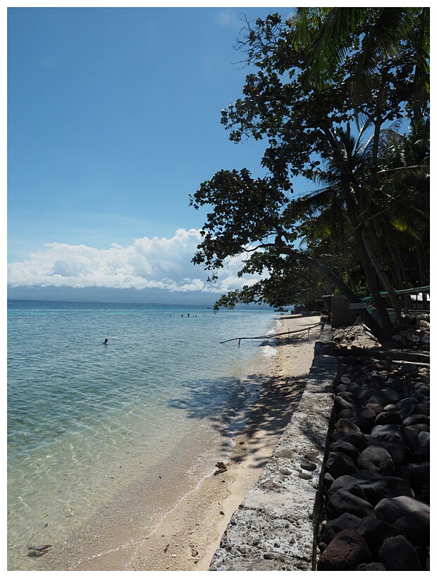 Giant Clam Sanctuary