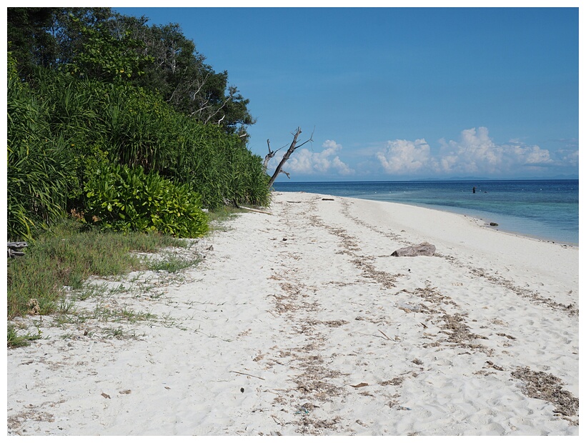 Mantigue Island