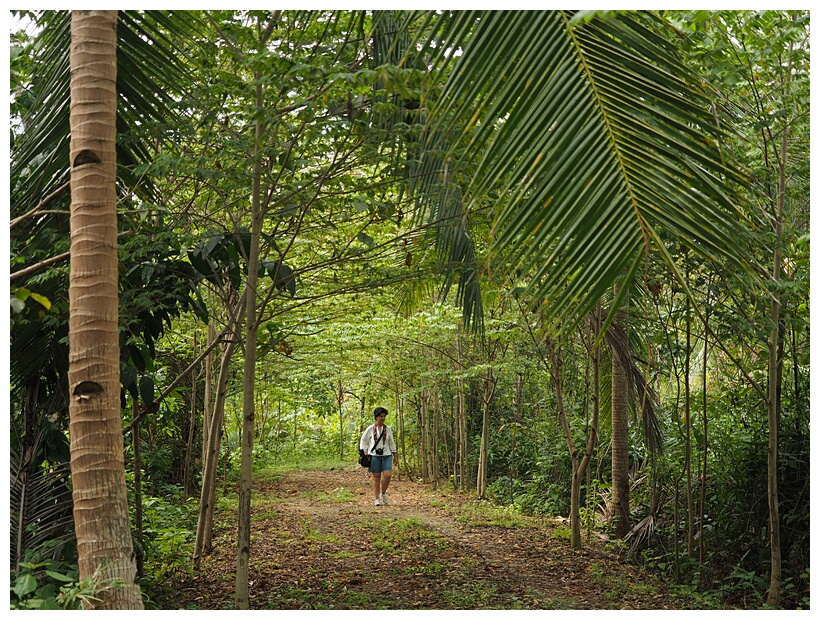 Loboc River Resort