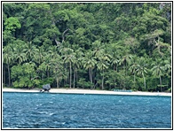 Cadlao Island