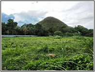 Chocolate Hills