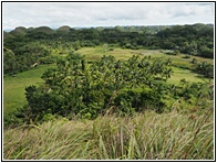 Chocolate Hills