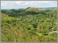 Chocolate Hills