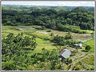 Chocolate Hills