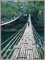 Bamboo Hanging Bridge