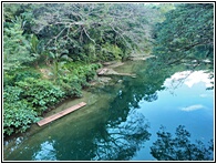 Loboc River