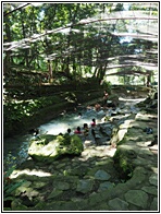 Ardent Hot Springs