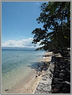 Giant Clam Sanctuary