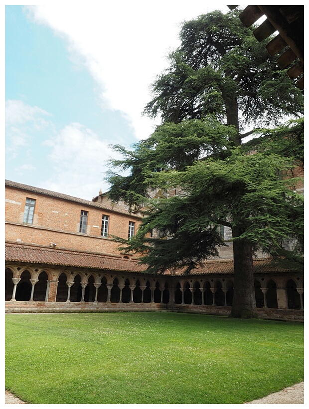 Abbey Cloister