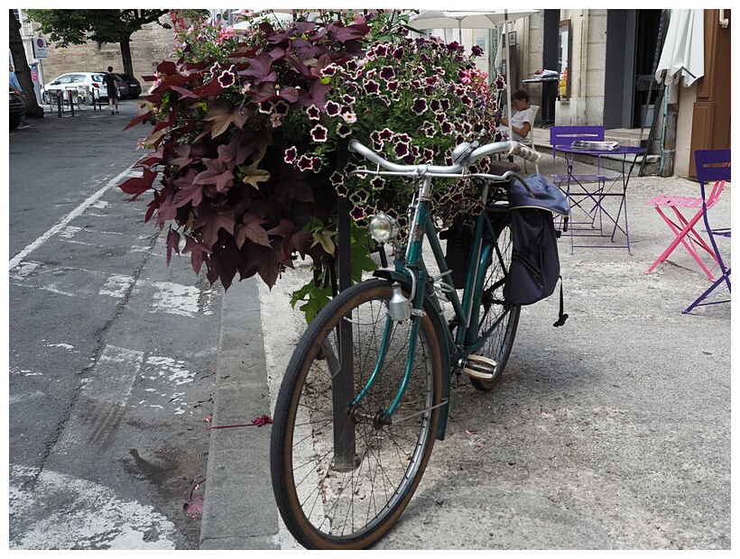 Flowery Bike